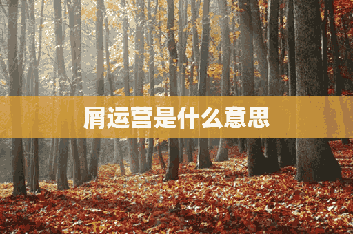 屑运营是什么意思